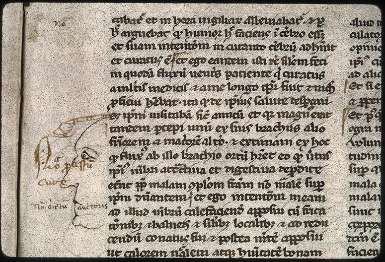 Liber Mehemeth ab Inrosdin in medicina qui Colligeth nominatur - Tête d'homme