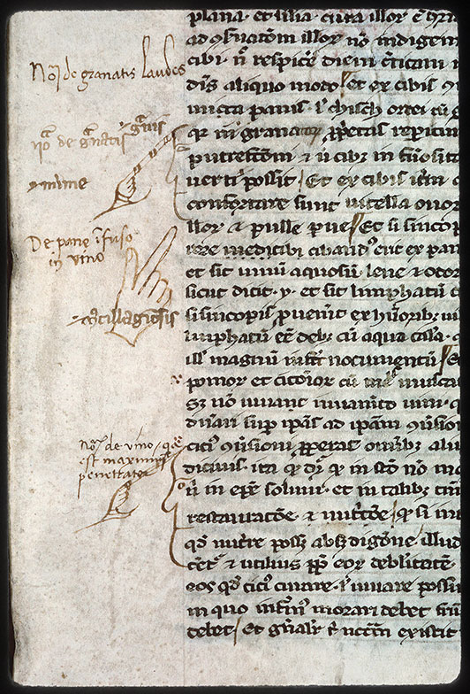 Liber Mehemeth ab Inrosdin in medicina qui Colligeth nominatur - Manicules/Têtes d'hommes