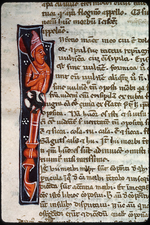 Opuscula - Hybride anthropomorphe armé