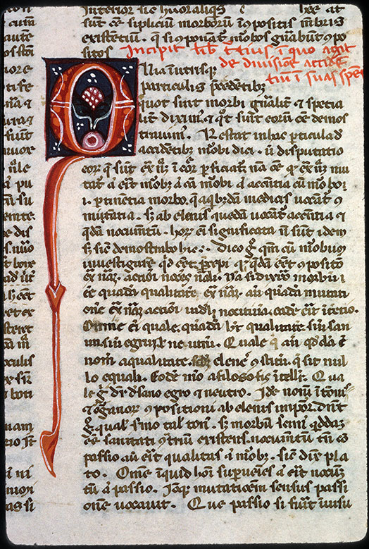Opuscula - Initiale ornée