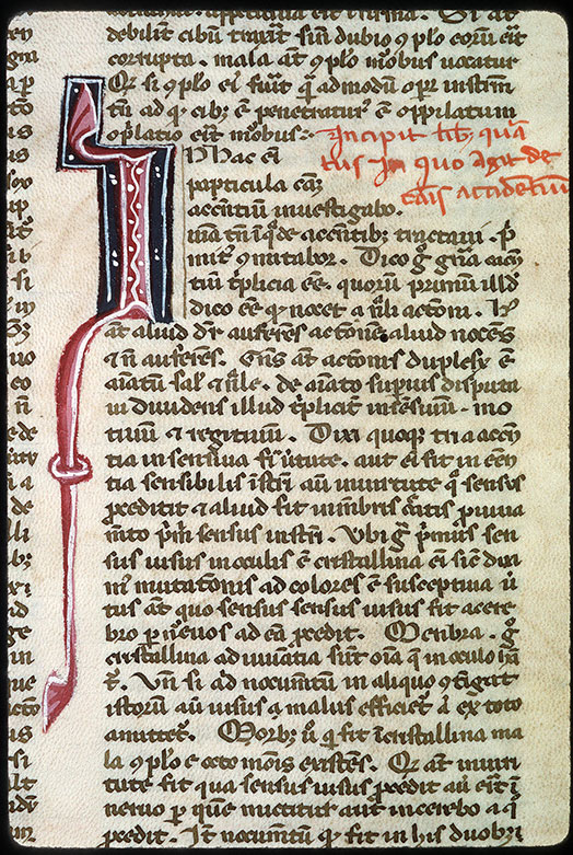 Opuscula - Initiale ornée