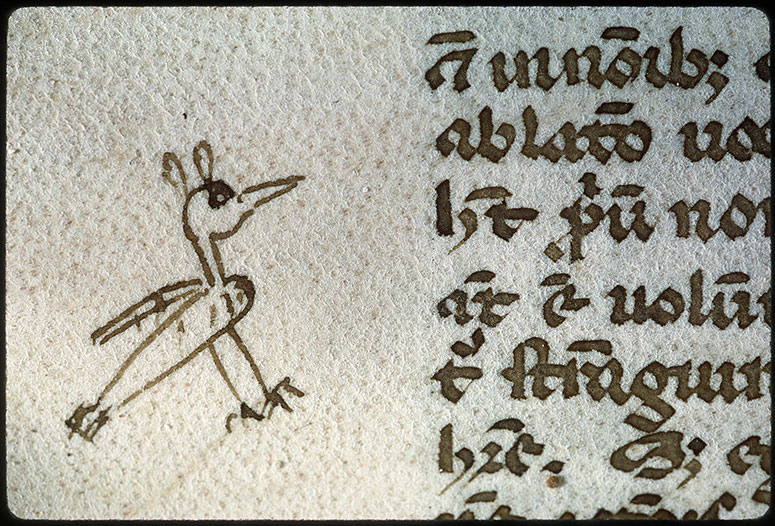 Opuscula - Oiseau