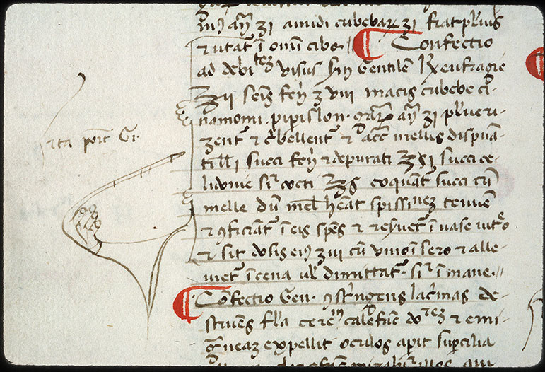 Opuscula medicinalia - Manicule