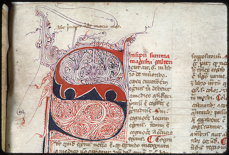 Opuscula medicinalia - Initiale filigranée