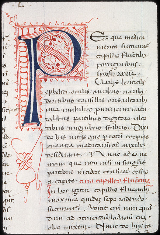 Medicina (De) - Initiale filigranée
