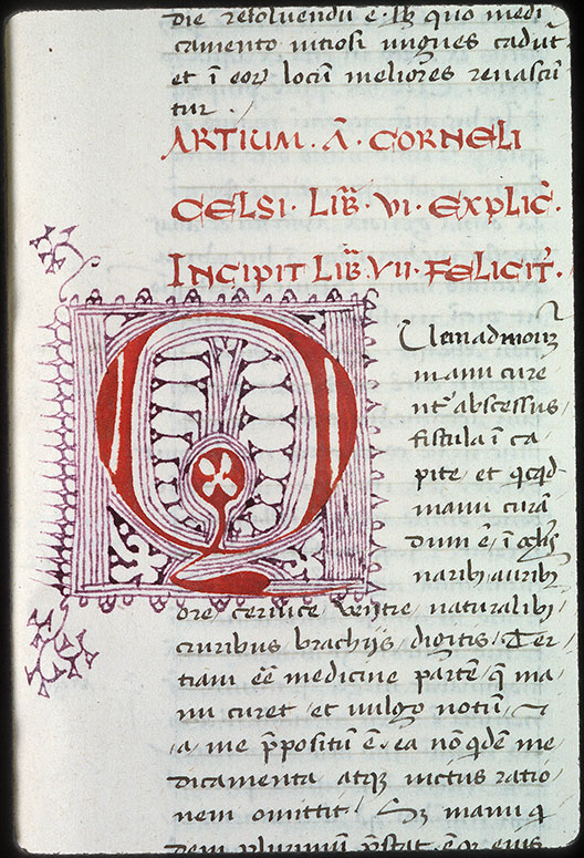 Medicina (De) - Initiale filigranée