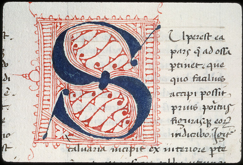 Medicina (De) - Initiale filigranée