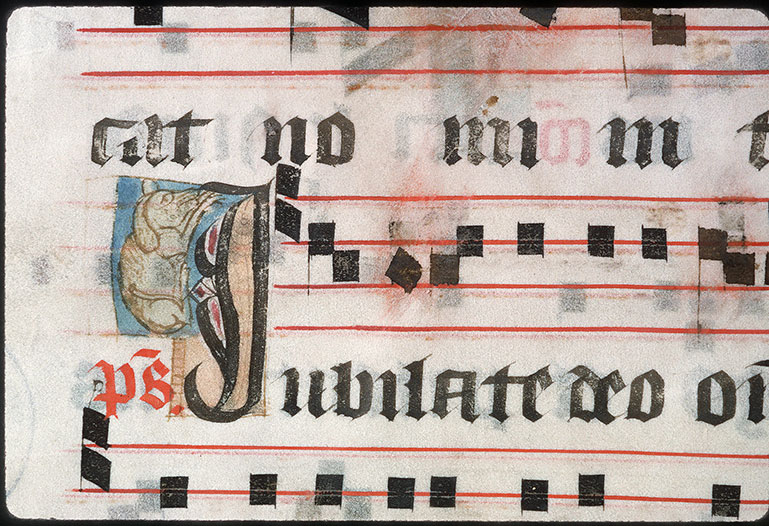 Graduel à l'usage de l'abbaye de la Trinité de Vendôme (?) - Chien
