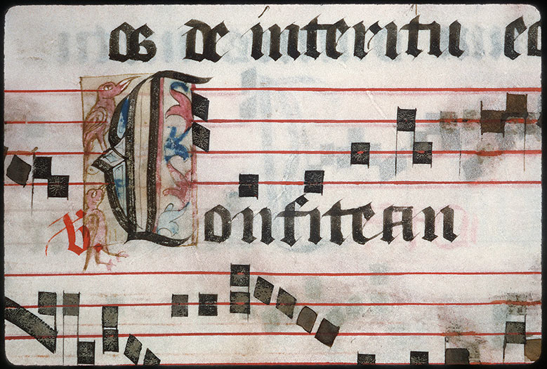 Graduel à l'usage de l'abbaye de la Trinité de Vendôme (?) - Oiseaux