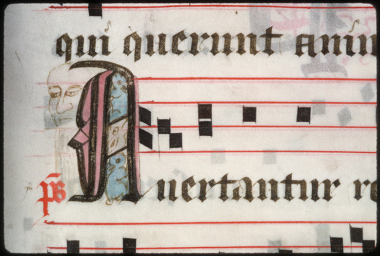 Graduel à l'usage de l'abbaye de la Trinité de Vendôme (?) - Lapins/Tête d'homme barbu