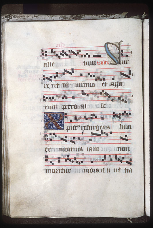 Graduel à l'usage de l'abbaye de la Trinité de Vendôme (?) - Visage_1