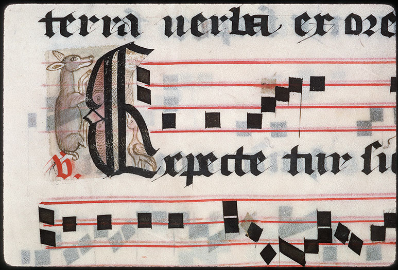 Graduel à l'usage de l'abbaye de la Trinité de Vendôme (?) - Biche (à préciser)/Oiseau