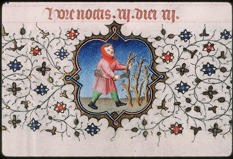 Bréviaire à l'usage de Paris - Taille de la vigne