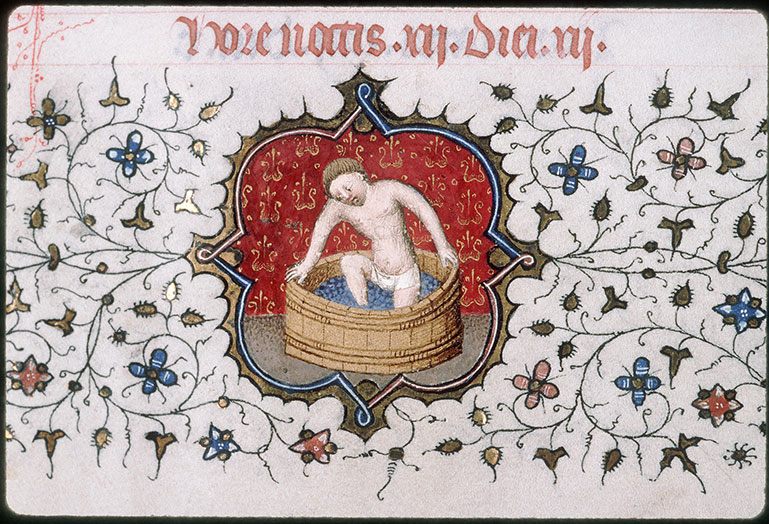 Bréviaire à l'usage de Paris - Foulage du raisin