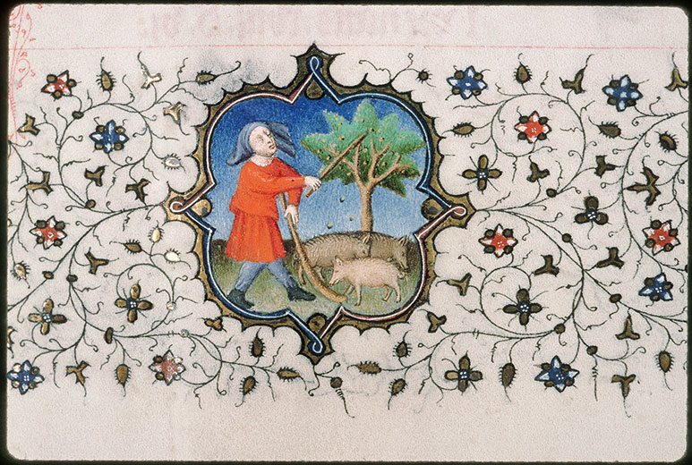 Bréviaire à l'usage de Paris - Glandée