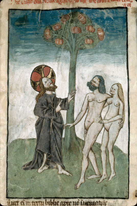 Speculum humanae salvationis - Arbre de la Connaissance