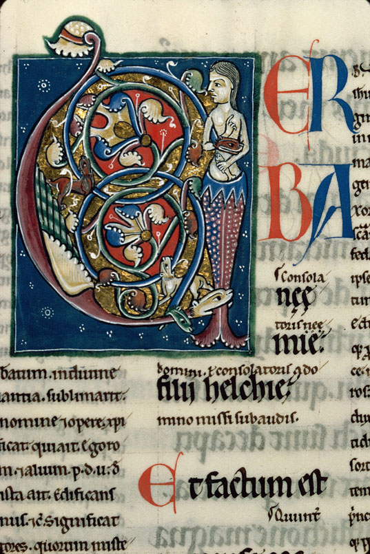 Bible glosée (partie de) - Sirène poisson_0