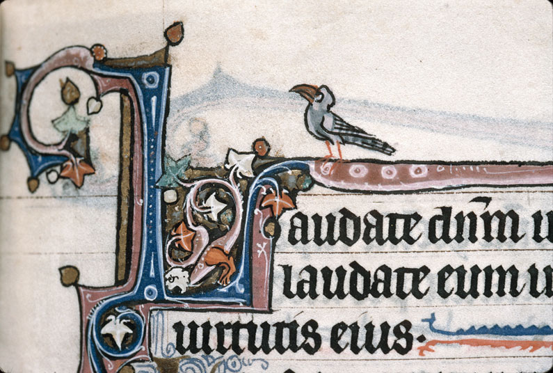 Heures à l'usage de Thérouanne - Page décorée
