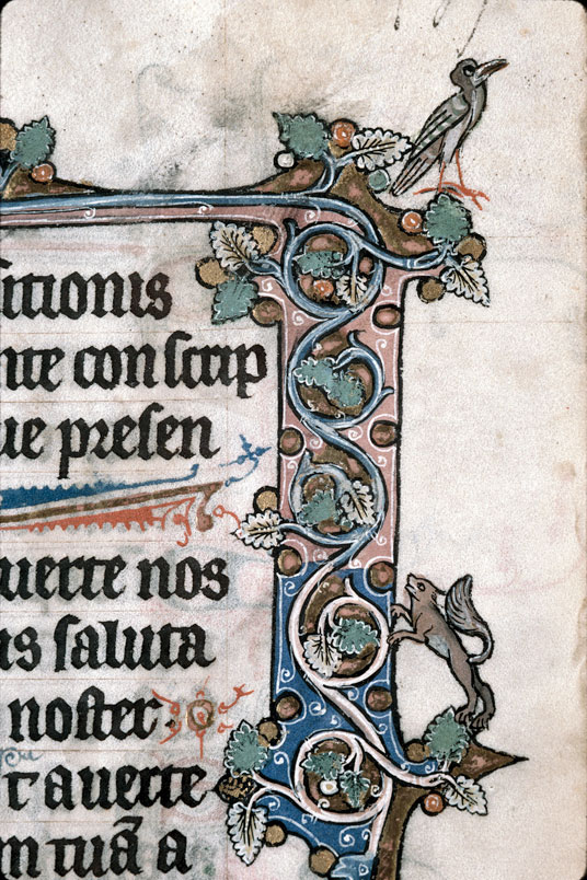 Heures à l'usage de Thérouanne - Saint François prêchant les animaux_3