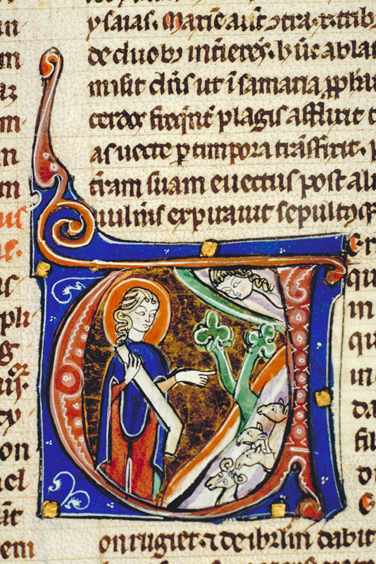 Bible - Dieu parlant à Amos