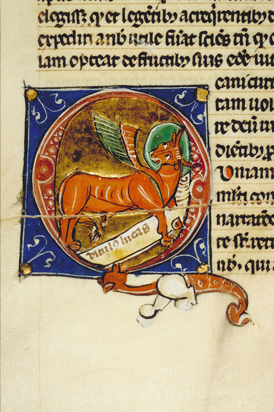 Bible - Boeuf de saint Luc