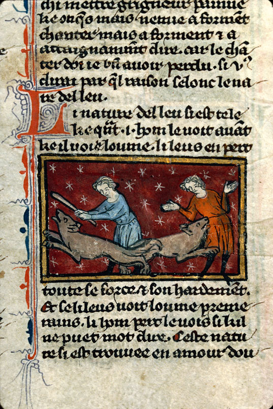 Recueil littéraire - Loup chassé par un homme et loup attaquant un homme