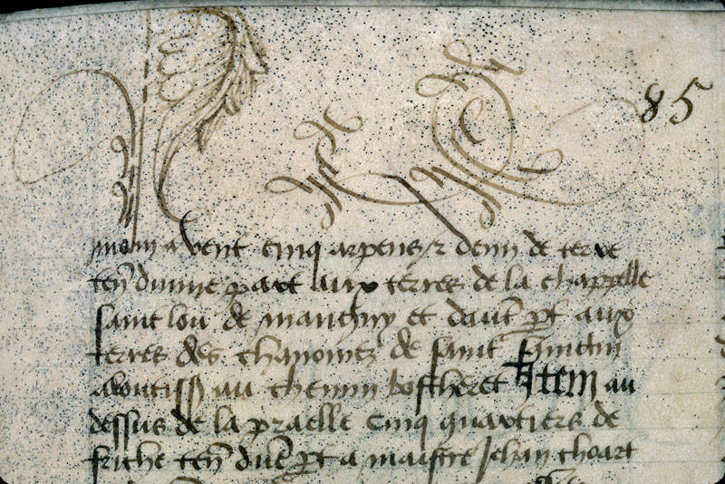 Cartulaire du chapitre cathédral de Meaux - Jeux de plume