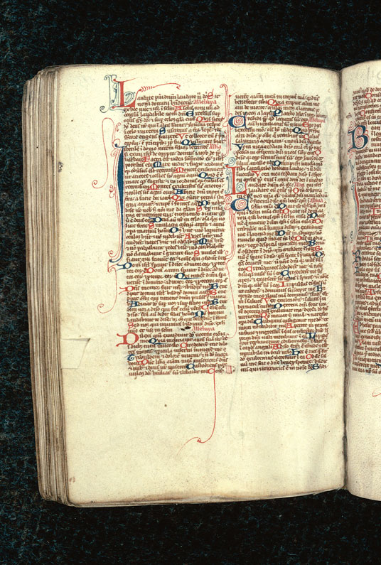 Bible - Initiales filigranées