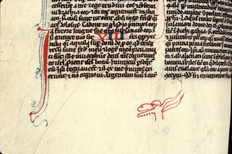 Bible - Tête animale