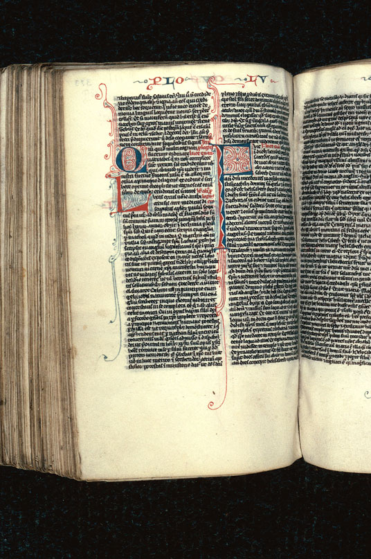 Bible - Initiales filigranées