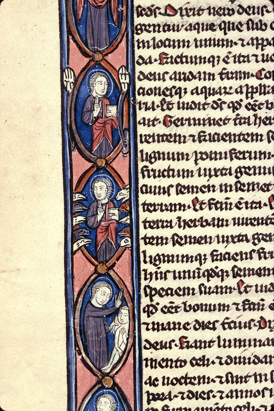 Bible - Création d'Eve/Création des animaux/Création des végétaux_1