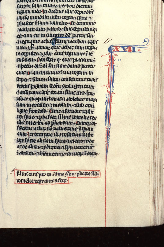 Bible - Pied-de-mouche filigrané