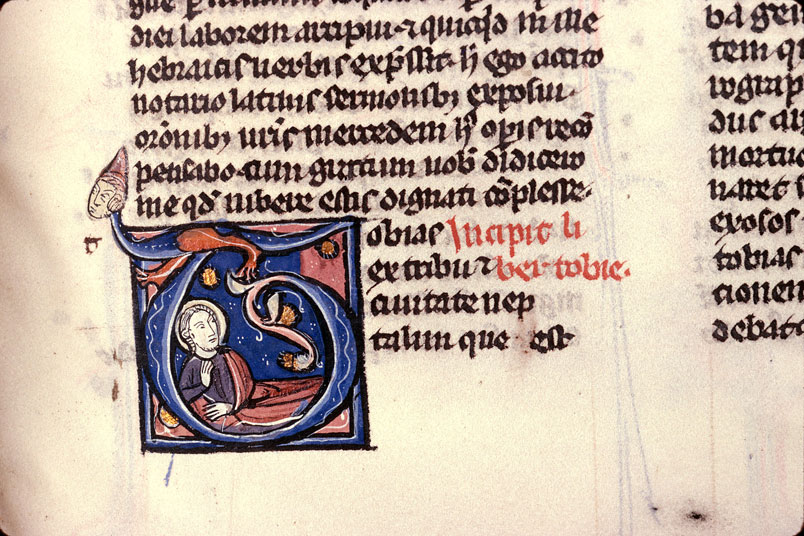 Bible - Tobit