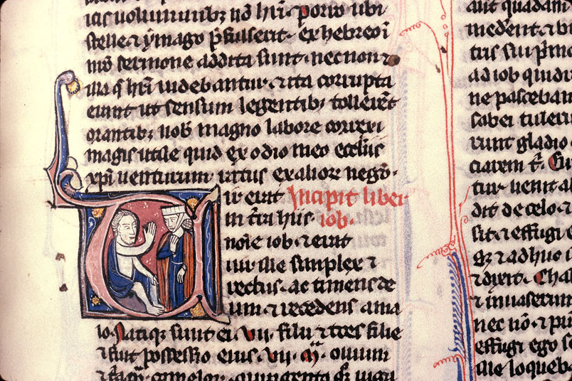 Bible - Job et sa femme