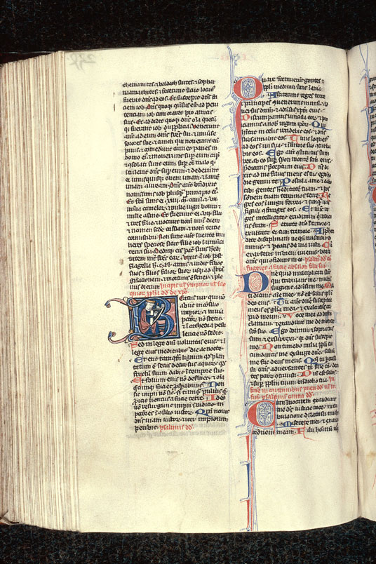 Bible - David accordant sa harpe_1