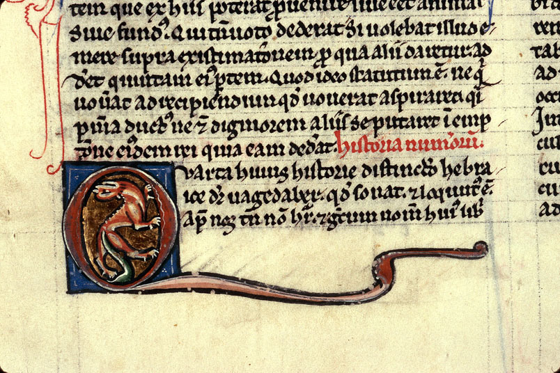 Historia scholastica - Lion