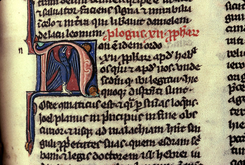 Bible - Aigle aux ailes déployées