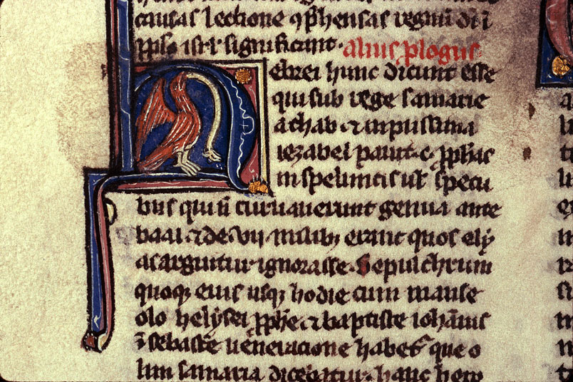 Bible - Aigle et serpent