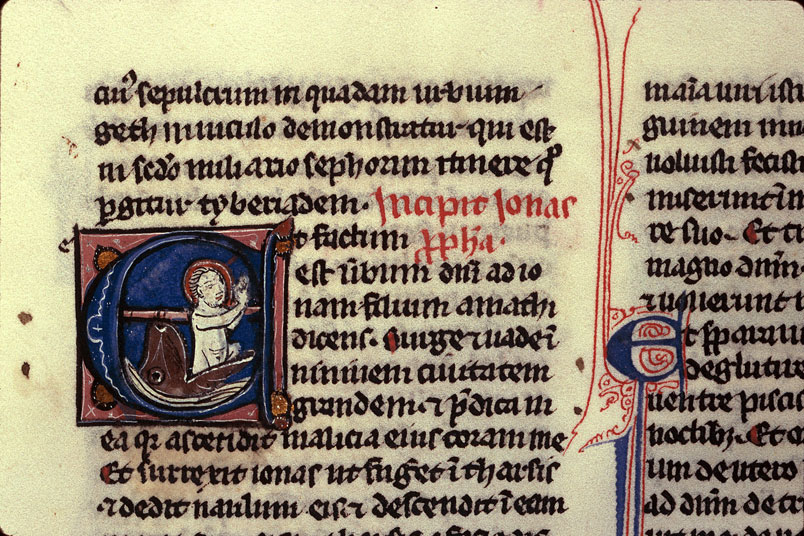 Bible - Jonas rejeté par le poisson