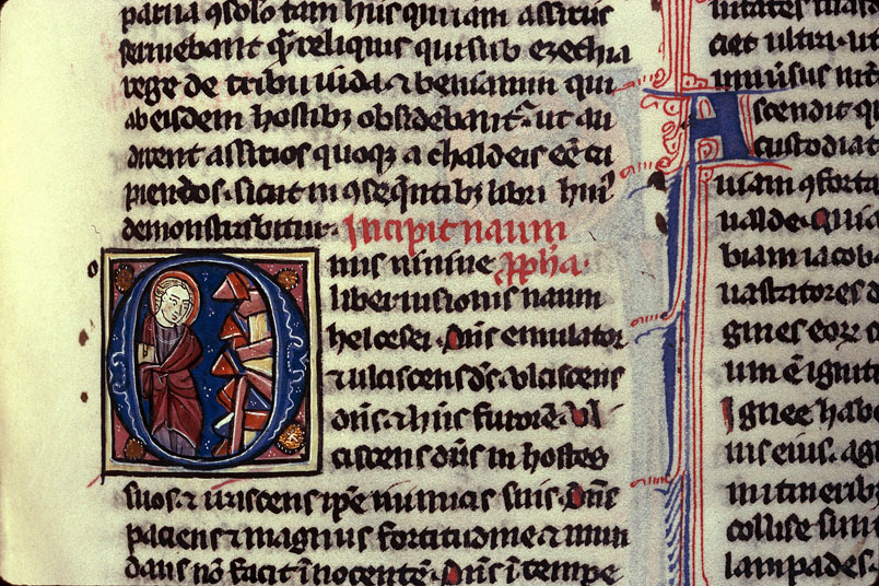 Bible - Nahum se lamentant devant Ninive détruite