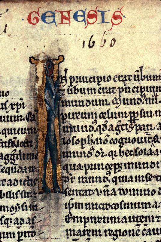Historia scholastica - Fauves/Hybride zoomorphe_2