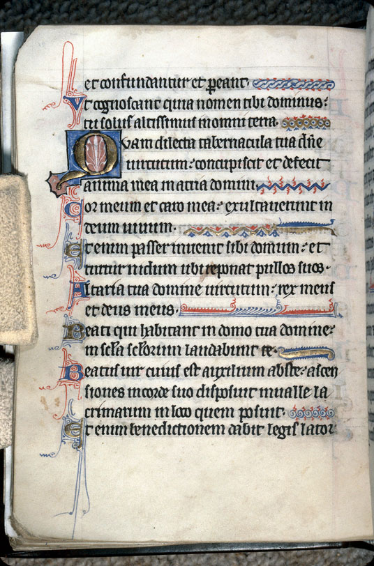 Psautier à l'usage de l'abbaye Notre-Dame de Fontevrault - Page décorée