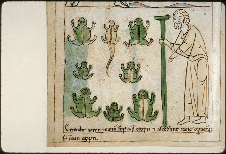 Bible en images - Deuxième plaie d'Egypte : les grenouilles