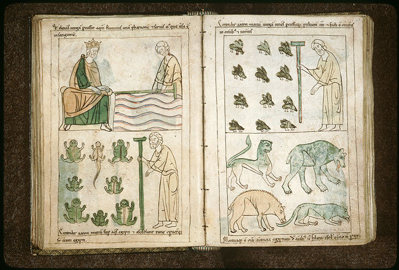 Bible en images - Cinquième plaie d'Egypte : la peste du bétail_1