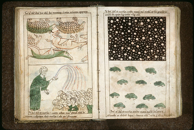 Bible en images - Huitième plaie d'Egypte : les sauterelles_1