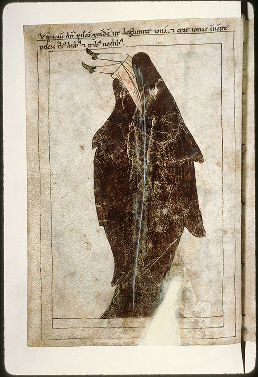Bible en images - Jonas dans la gueule du poisson