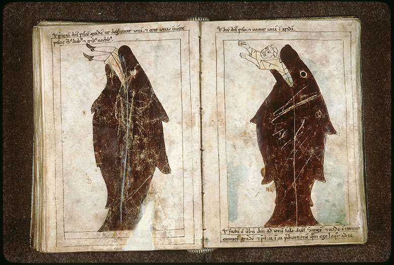 Bible en images - Jonas rejeté par le poisson_1