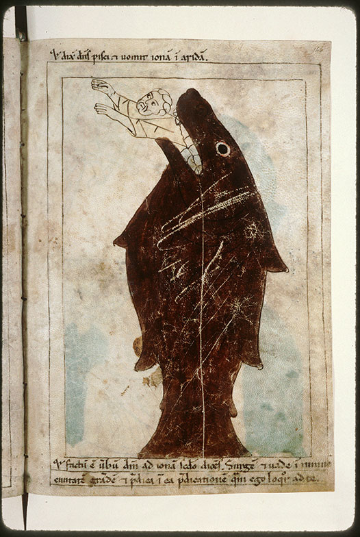 Bible en images - Jonas rejeté par le poisson