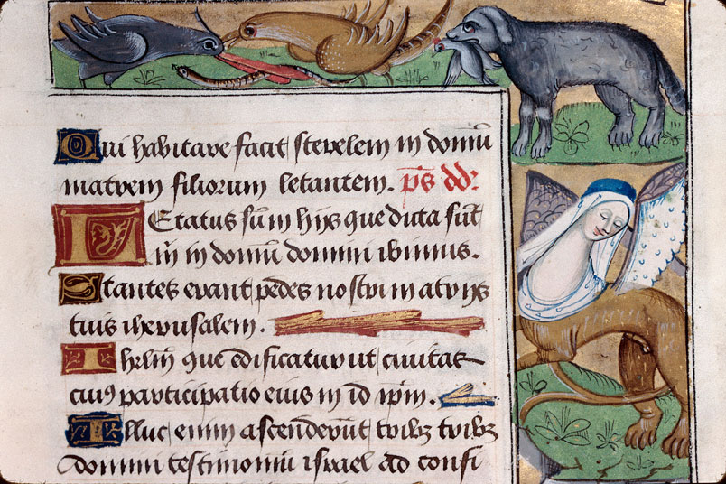 Heures à l'usage d'Amiens - Chien du gibier à plume dans la gueule;Homme tenant un verre et un pichet;Hybrides anthropomorphes;Oiseaux et ver;Singe et chien_1