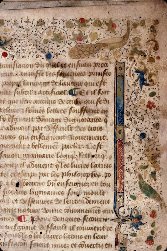 Cas des nobles hommes et femmes (Des) - Page décorée, avec armes de France
